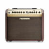 מגבר לגיטרה אקוסטית פישמן - FISHMAN Loudbox Mini BT 60w Acoustic Guitar Amplifier